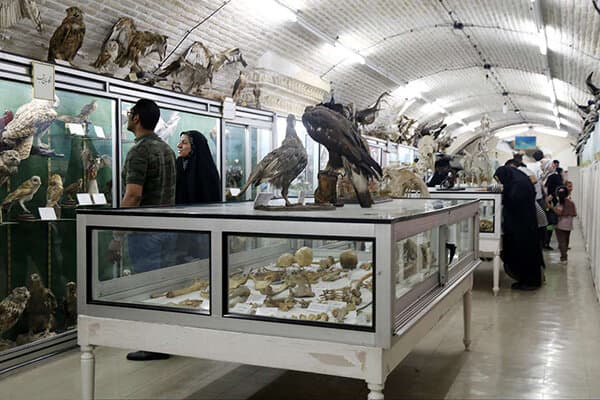 Yazd Museum of Natural Sciences.sepehr seir