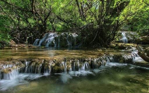 nayangiz-forest-water