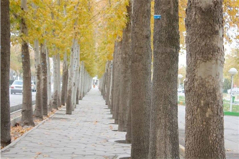 Shahid Beheshti Forest Park (Samovar Park).sepehr seir