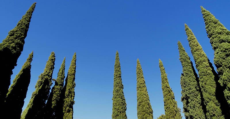 Shiraz National Garden.sepehr seir