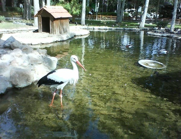 Bird Garden-Shiraz-sepehrseir