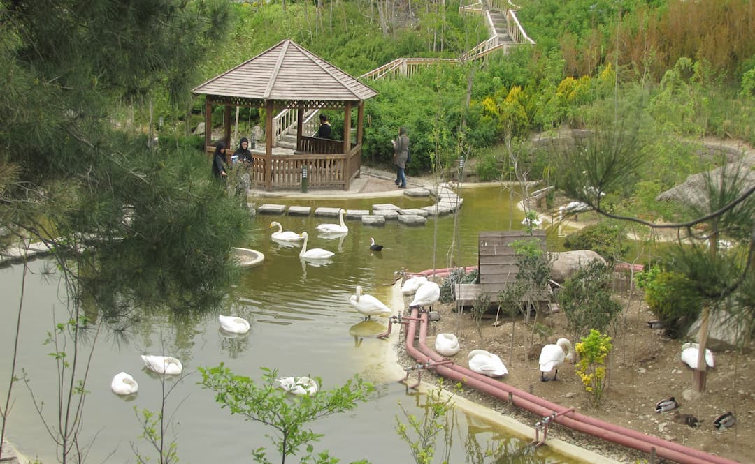 Bird Garden-Shiraz-sepehrseir