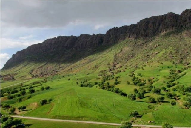 makhmalkoh-forest-park